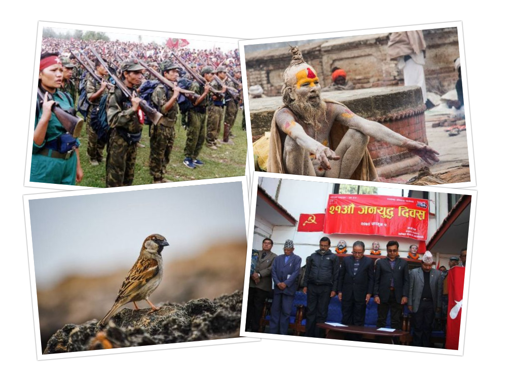 जनयुद्ध र भँगेरा