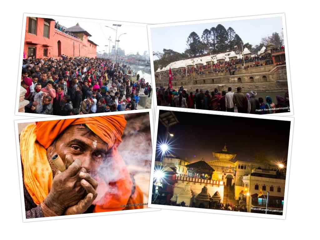 पशुपतिमा बाबाजीलाई नै 'नो इन्ट्री', नागा बाबाका कारण गौशालामा जाम