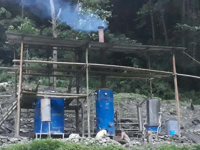 तितेपातीबाट तेल उत्पादन, एक लिटरकाे पर्छ ८ हजार ५ सय